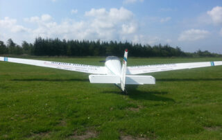 zimmer13-g